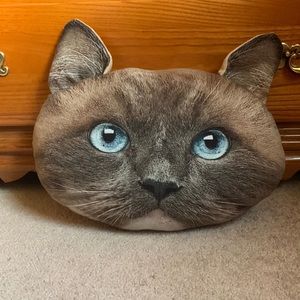 Funny Cat Pillow.